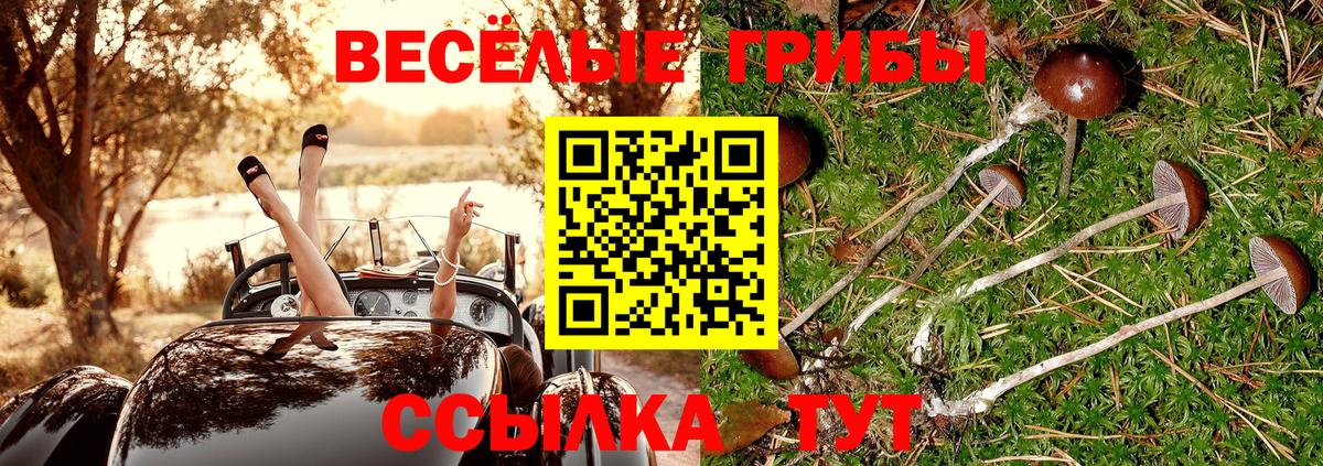 Псилоцибиновые грибы ЛСД Людиново