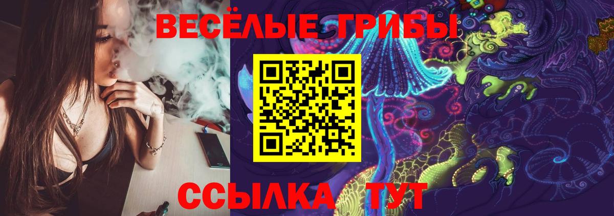 Людиново  Псилоцибиновые грибы Psilocybe  Вход с VPN  Галлюциногенные грибы прущие грибы 